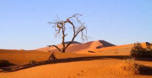 Desierto de Namibia