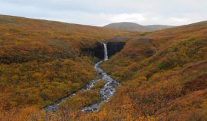 Cascada Svartifoss, En Ruta por Islandia