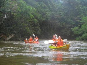 Kayak por la selva de Borneo en Malasia