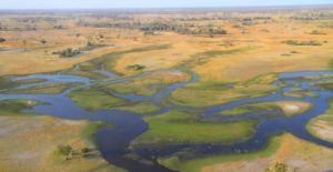 Delta del Okavango, lo volamos en avioneta