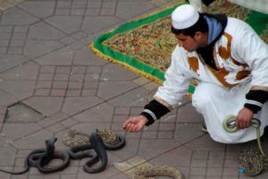 Encantador de serpientes en Marrakech