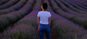 Nómada en los Campos de lavanda de Brihuega Nómada en los Campos de lavanda de Brihuega