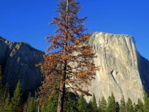 Capitán, Yosemite, EEUU