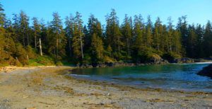 Playas salvajes en el Wild Pacific Trail, Isla de Vancouver
