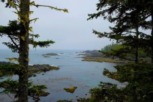Wild Pacific Trail, Isla de Vancouver