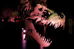 Tiranosaurio Rex en Dinópolis
