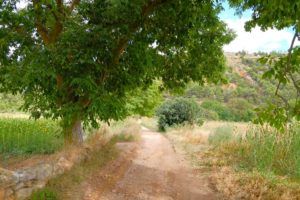 Caminos para llegar a Aguallueve Caminos para llegar a Aguallueve