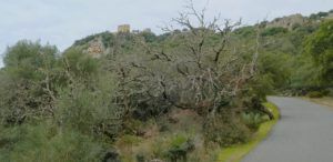 Subida hacia el Castillo de Monfragüe