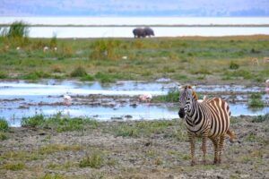 Cráter del Ngorongoro, safari por “jardín del Edén” de Tanzania