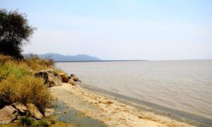 Lago Manyara, como visitar y qué ver en este Parque Nacional de Tanzania 