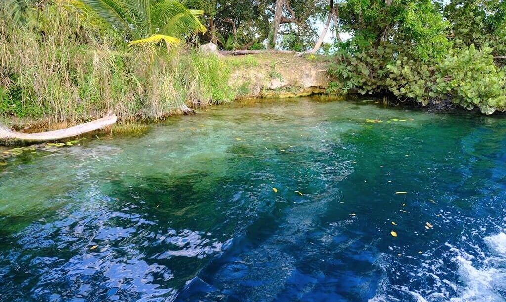 Cenote Negro de la Laguna de Bacalar