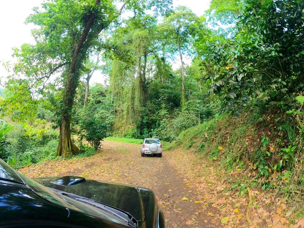 Cómo moverse por Santo Tomé y Príncipe. La mejor opción es alquilar un coche 4x4