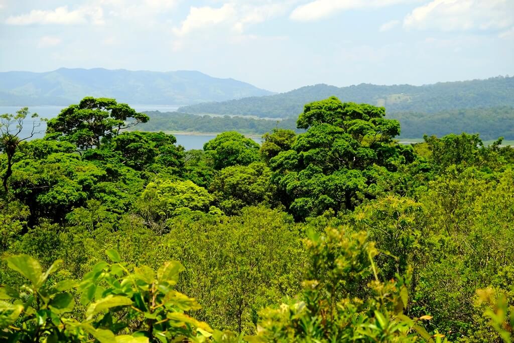 El Volcán Arenal, tesoro y belleza de Costa Rica. Imprescindibles qué hacer