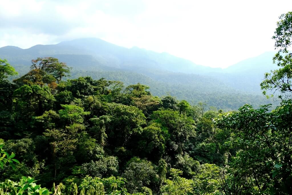 Río Celeste en Costa Rica, guía para visitar el Paraíso de Aguas Turquesas