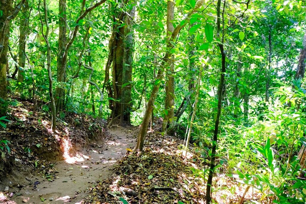 Reserva Biológica del Bosque Nuboso de Monteverde