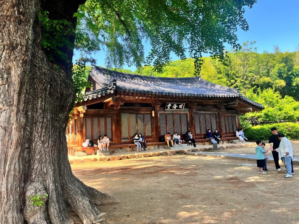 Jeonju, la ciudad más tradicional de Corea del Sur: qué ver y cómo visitarla Jeonju, la ciudad más tradicional de Corea del Sur: qué ver y cómo visitarla
