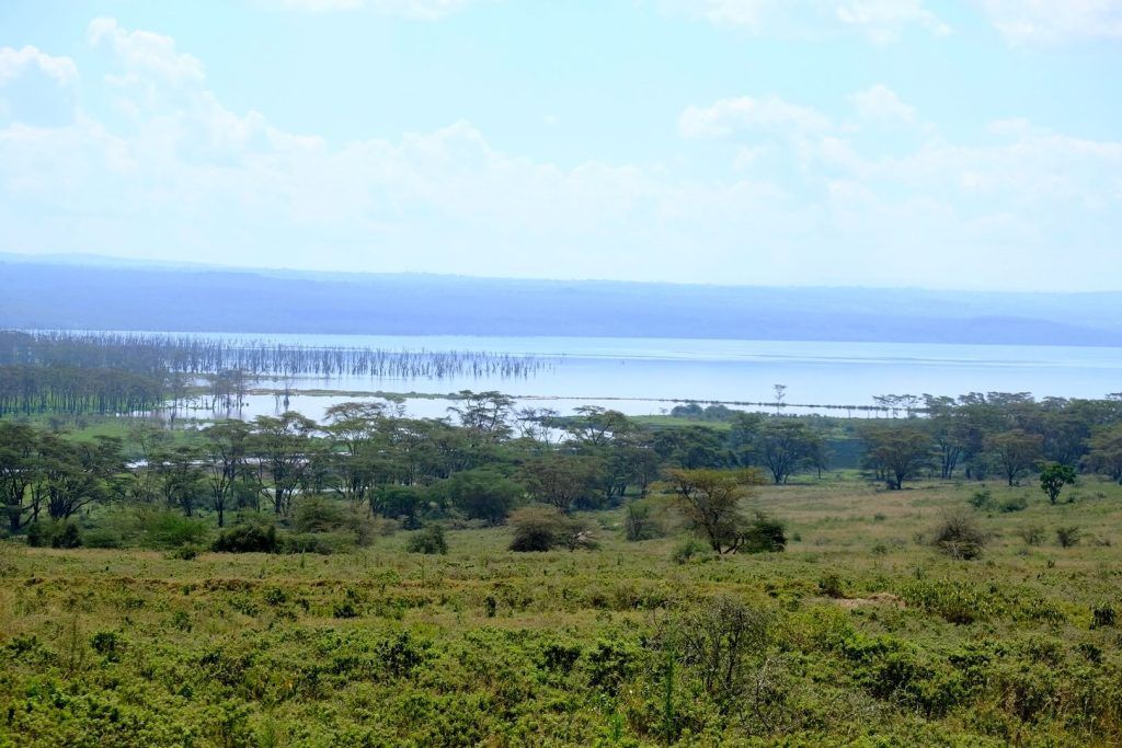 El Lago Nakuru desde la entrada al Parque