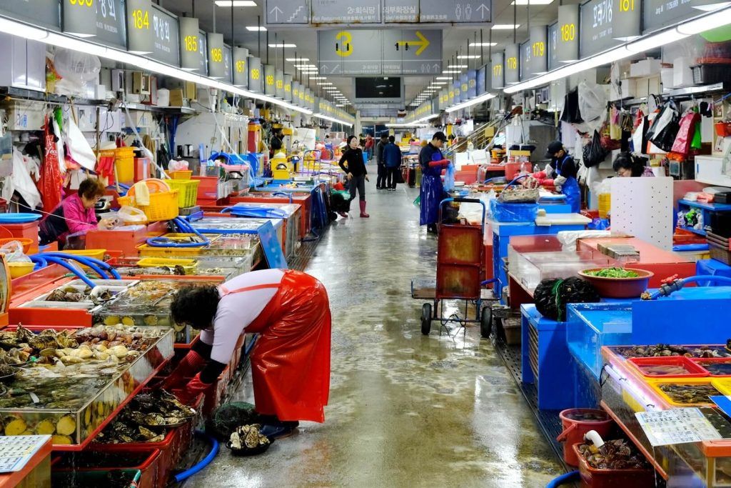 Jagalchi Market, del mar al plato