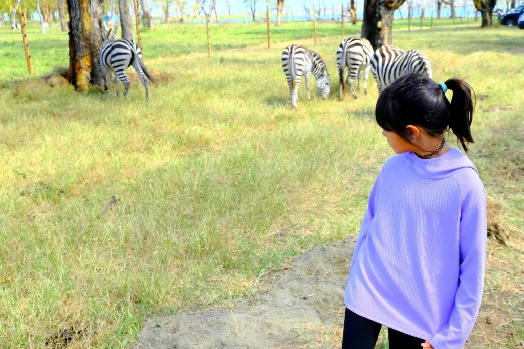 Pequeña nómada viendo unas cebras en el Crescent Island. Lago Naivasha. Kenia