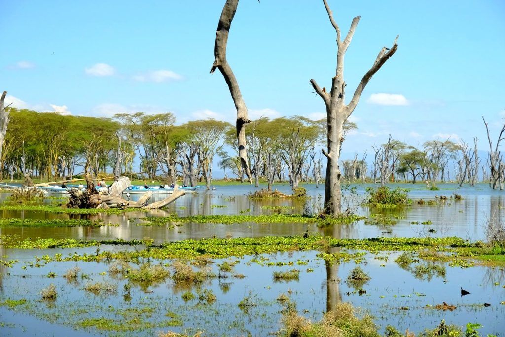 Lago Naivasha en Kenia