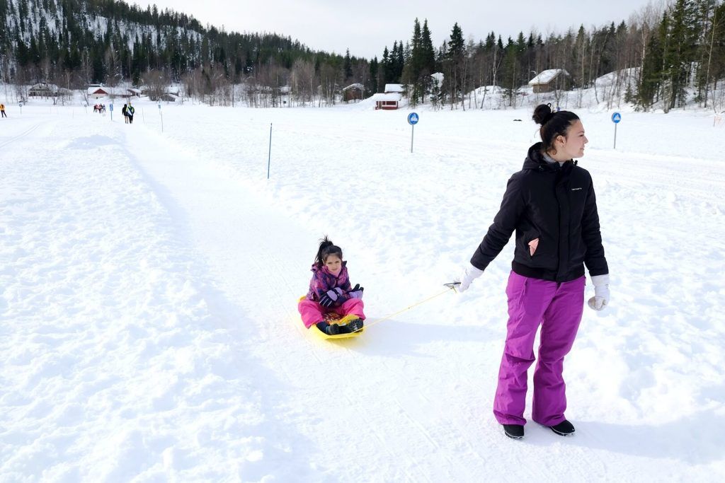 Trekkings y caminatas por los bosques de Laponia
