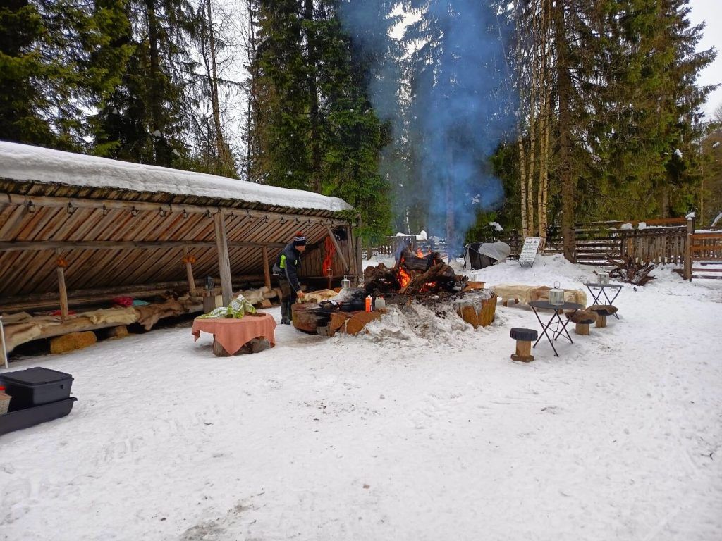 Visitamos una granja de renos, imprescindible en Laponia