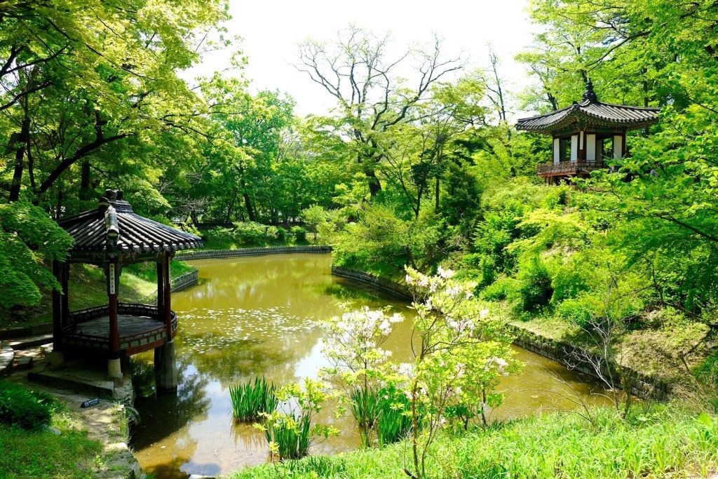 Qué ver en Seúl: Jardines del Palacio Changdeokgung Qué ver en Seúl: Jardines del Palacio Changdeokgung